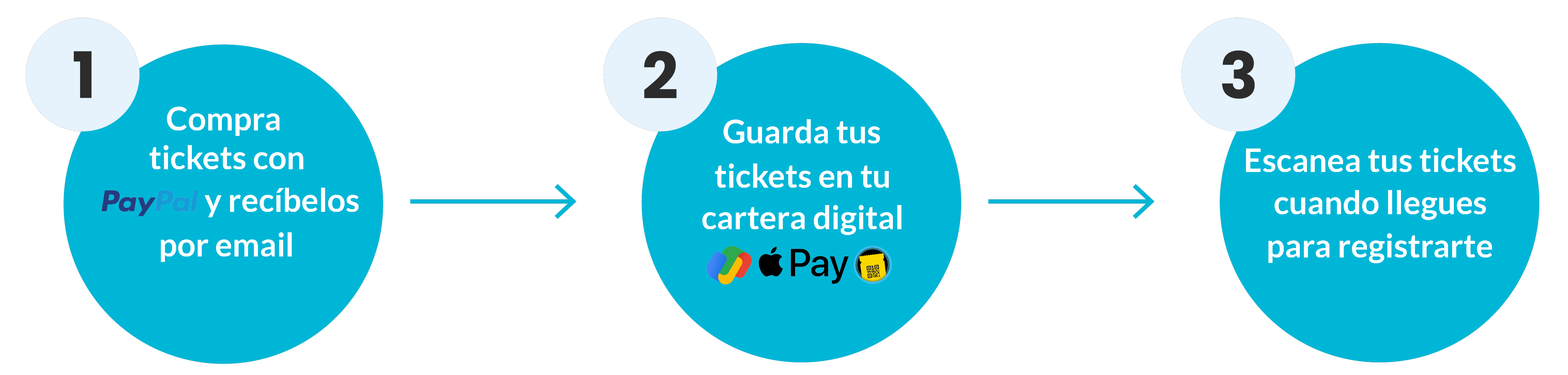 Passcreator PayPal Spanish